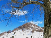 Sulle nevi del Monte Zucco da S. Antonio Abbandonato il 20 febbraio 2026 - FOTOGALLERY